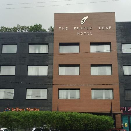 The Purple Leaf Hotels Hyderabad Luaran gambar