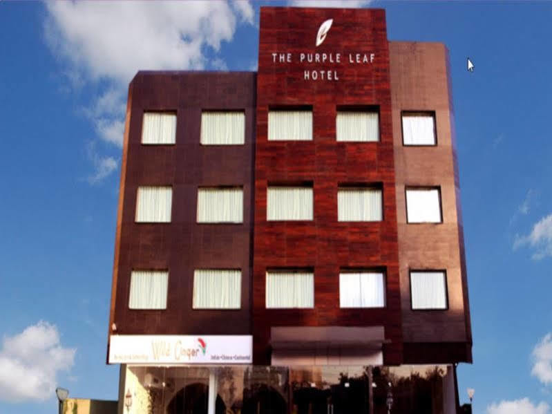 The Purple Leaf Hotels Hyderabad Luaran gambar